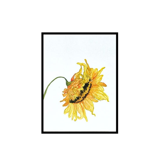 Hues of Spring Amber.