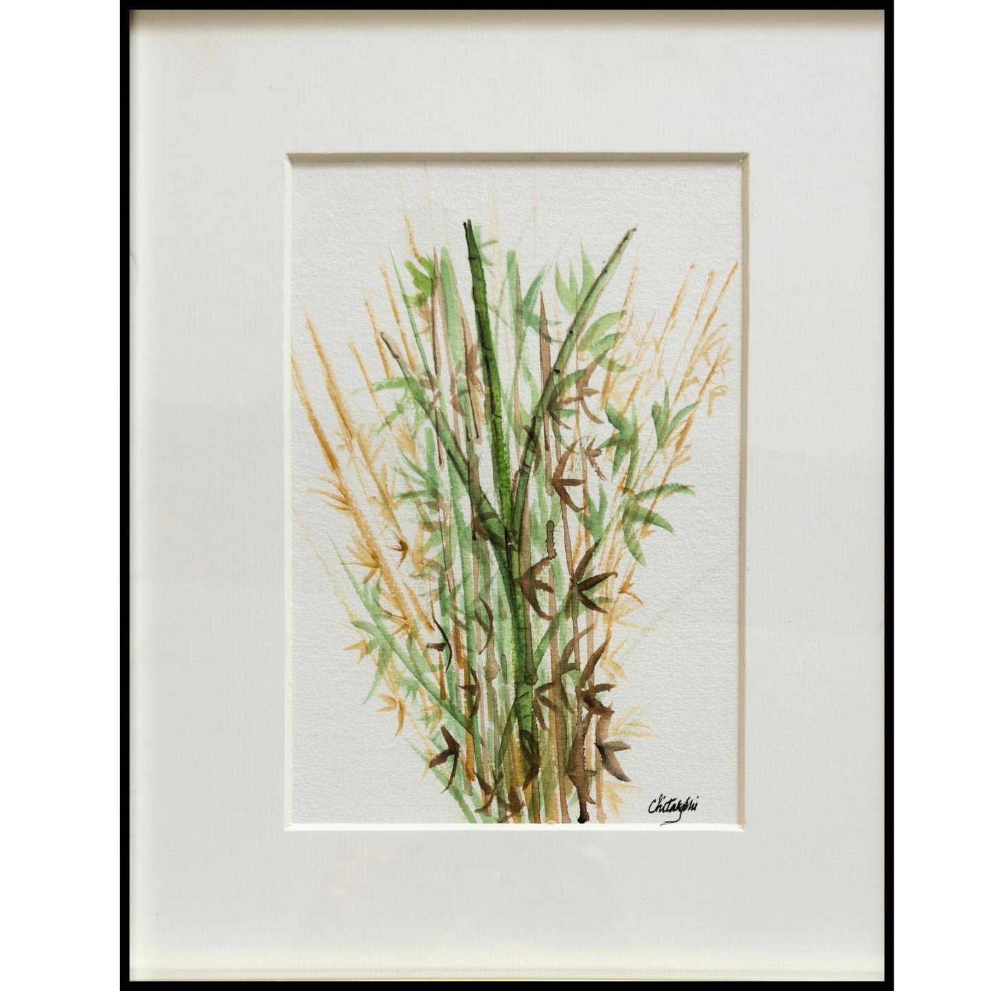 Bamboo