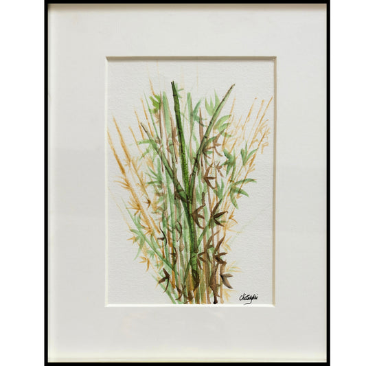 Bamboo